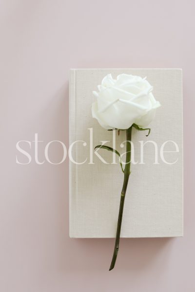 Vertical stock photo of a white rose and a book on a pink background