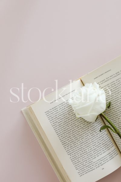 Vertical stock photo of a book and a white rose on a pink background