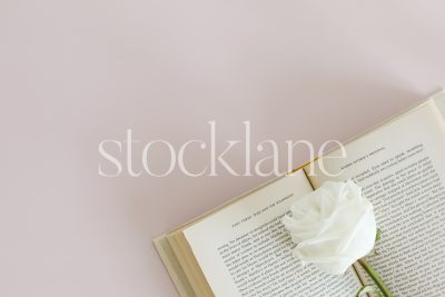 Horizontal stock photo of a white rose and a book on a pink background