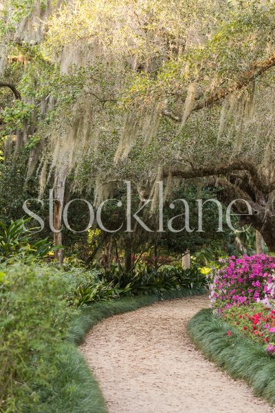 Vertical stock photo of a walking trail in spring.