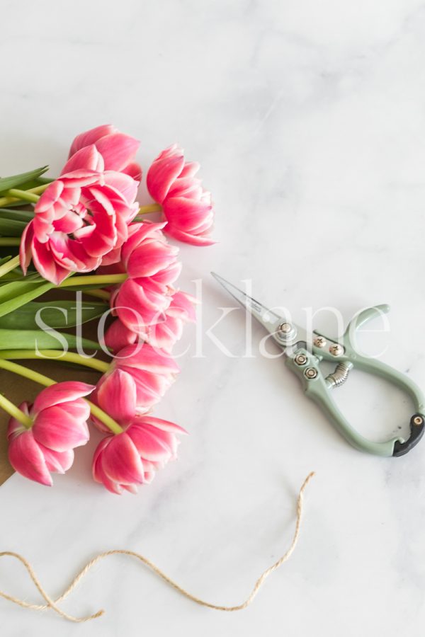 Vertical stock photo of pink tulips and plant scissors.