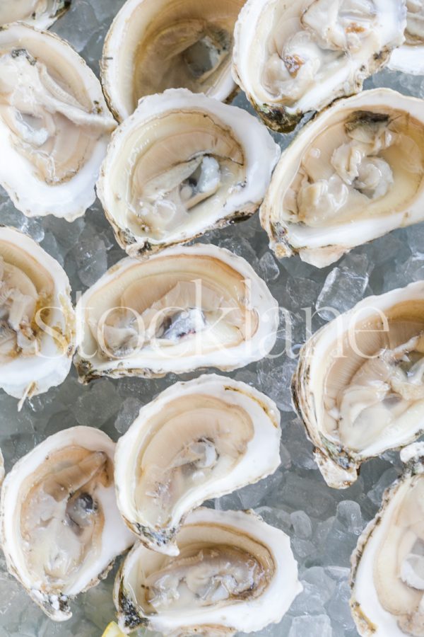 Vertical stock photo of oysters on the half shell