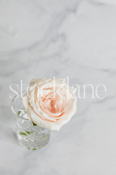 Vertical stock photo of a pink rose on a marble background.