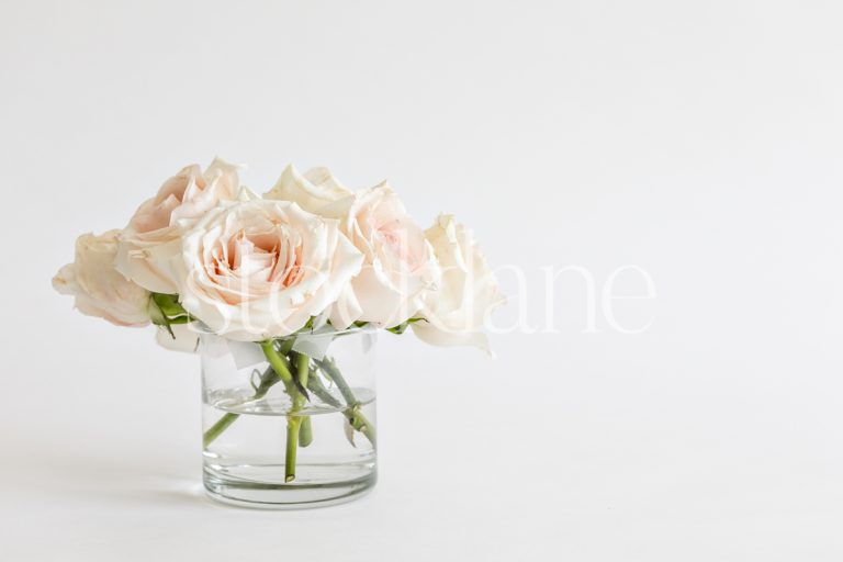 Horizontal stock photo of a vase with pink roses.