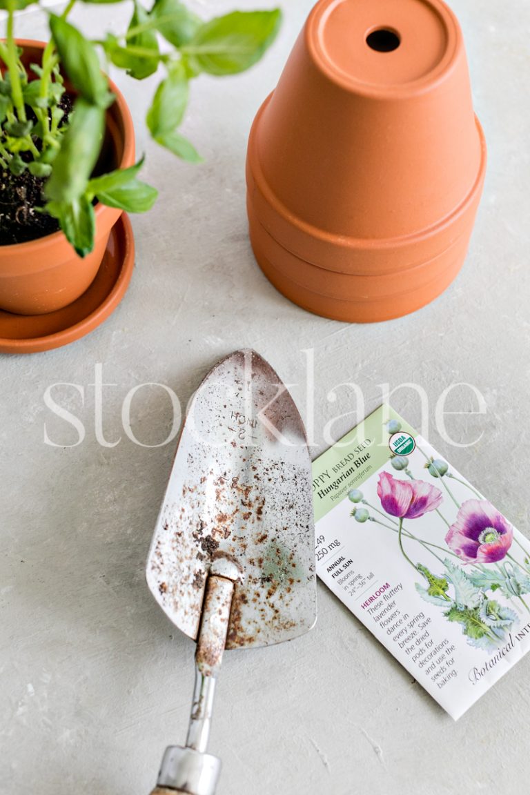 Vertical stock photo of flower pots, seeds and gardening tools.