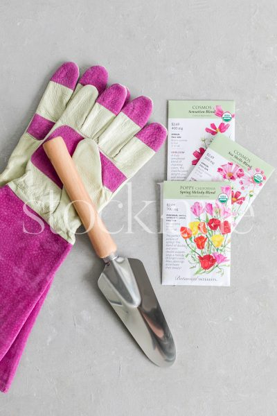 Vertical stock photo of gardening gloves, seeds and gardening tools.