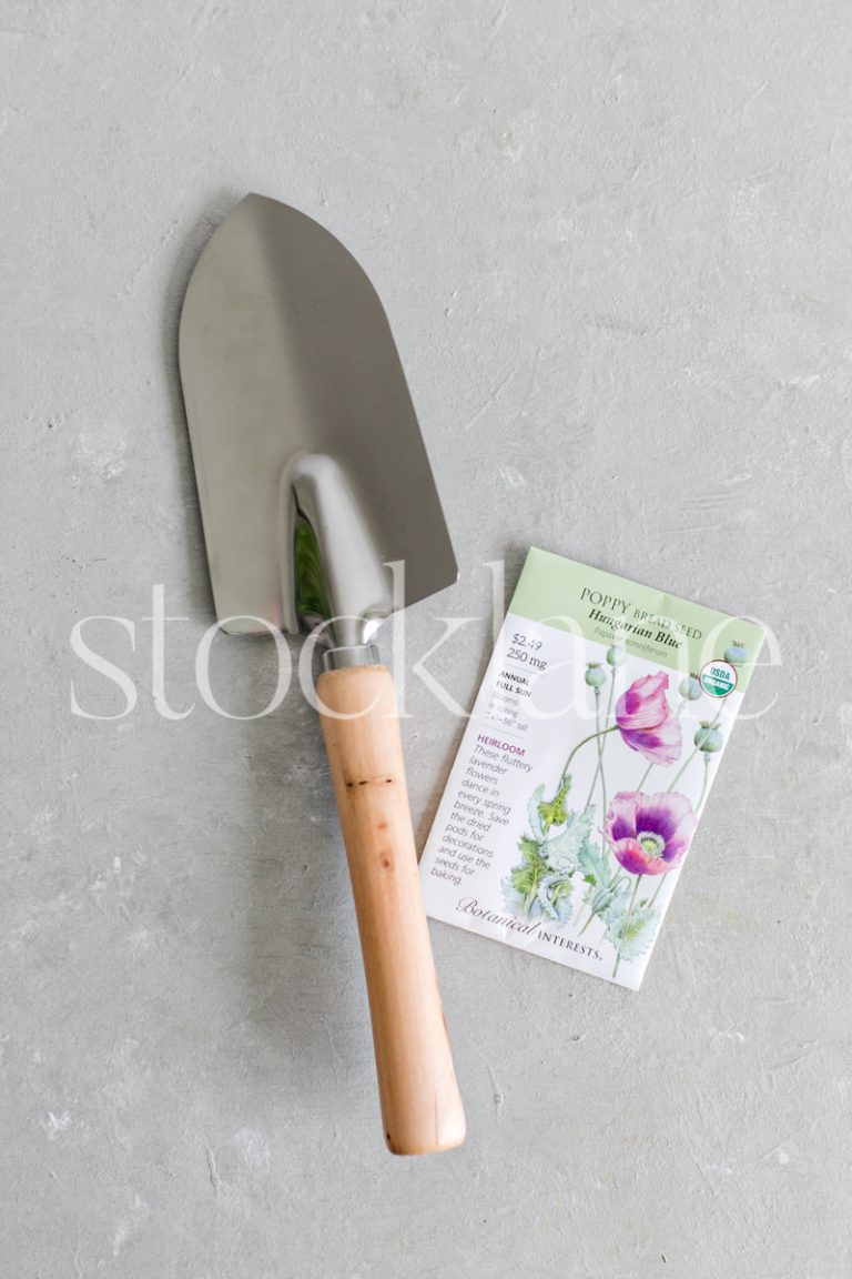 Vertical stock photo of a packet of seeds and a gardening tool.