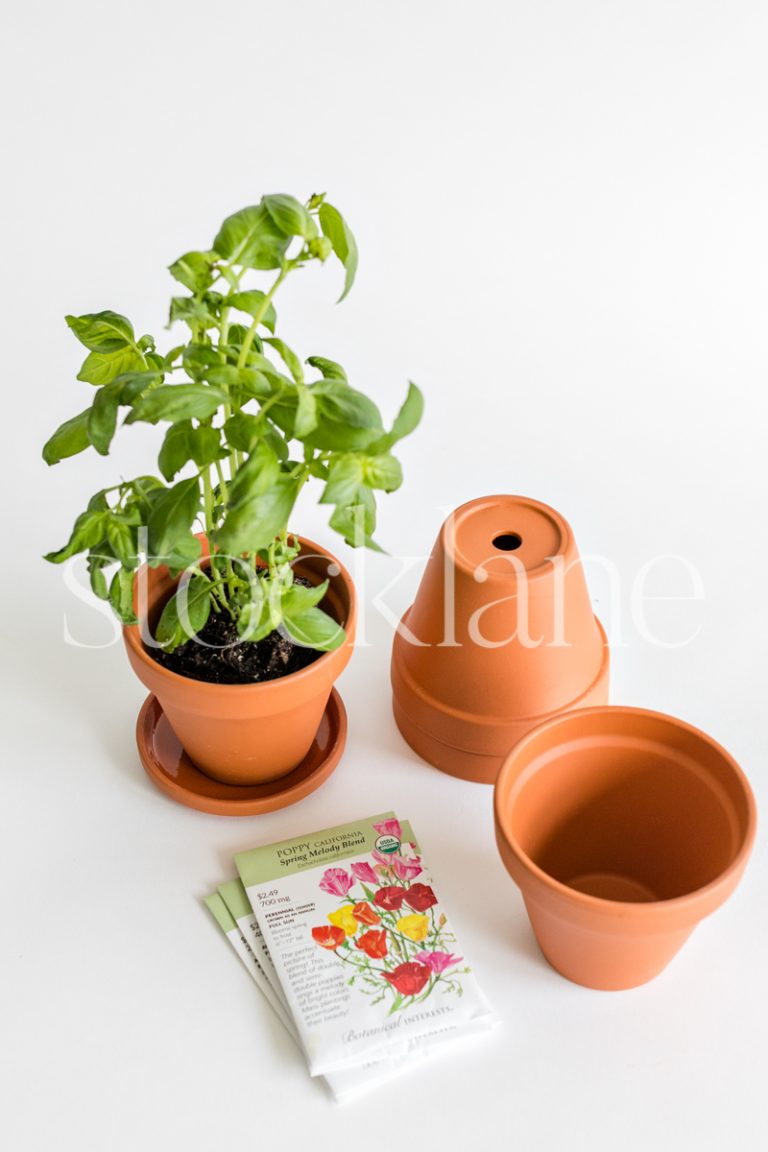 Vertical stock photo of packets of seeds, flower pots and a basil plant.