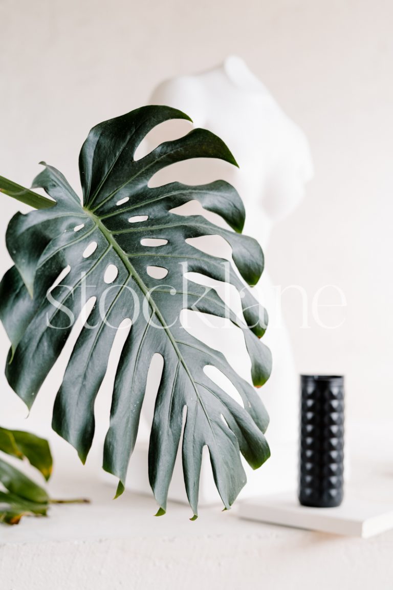 Vertical stock photo of a white sculpture and a plant.