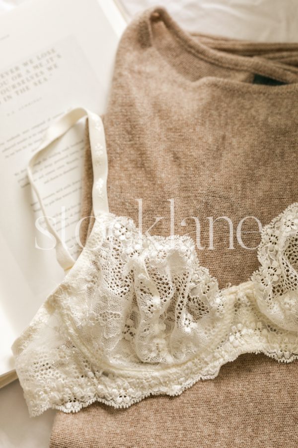 Vertical stock photo of a book, a sweater and a lace bra.