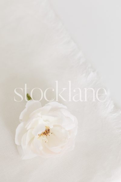 Vertical stock photo of a white rose on a white linen cloth.