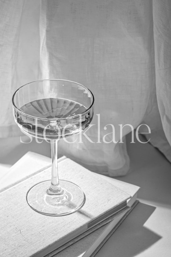 Vertical black and white photo of a champagne coupe glass on top of some books.