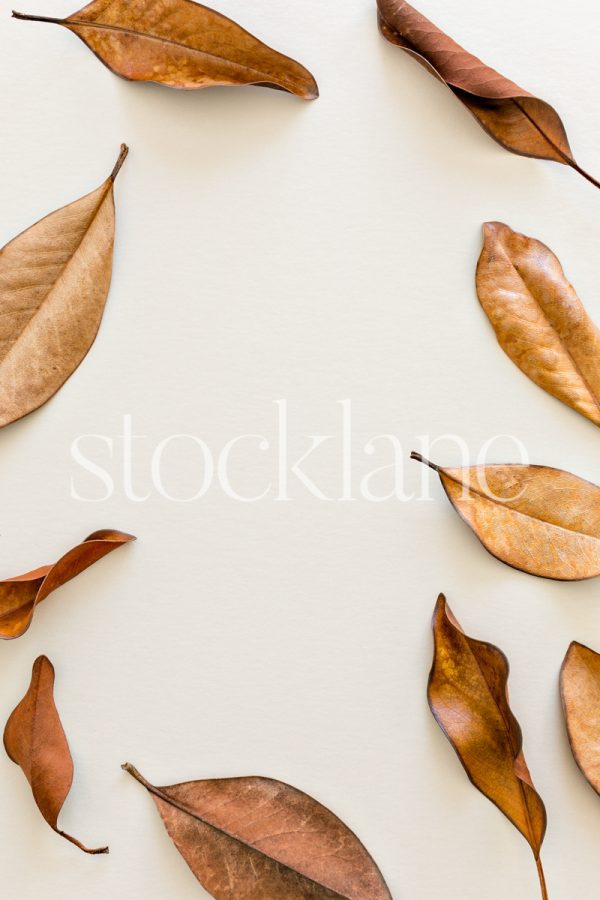 Vertical stock photo of a group of brown leaves on a neutral background.