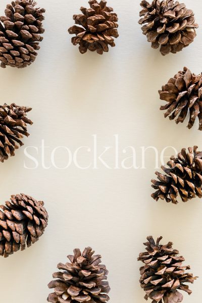 Vertical stock photo of a group of pinecones on a neutral background.