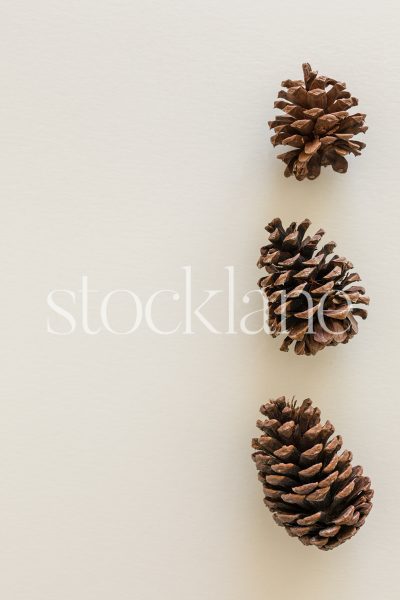 Vertical stock photo of a group of pinecones on a neutral background.