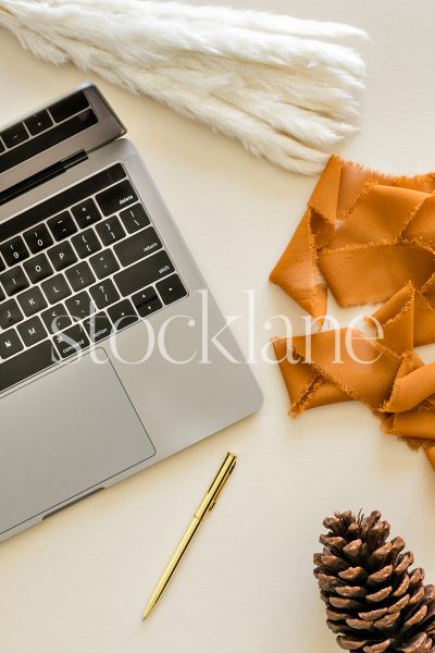 Vertical stock photo of a laptop computer with fall-themed decor.