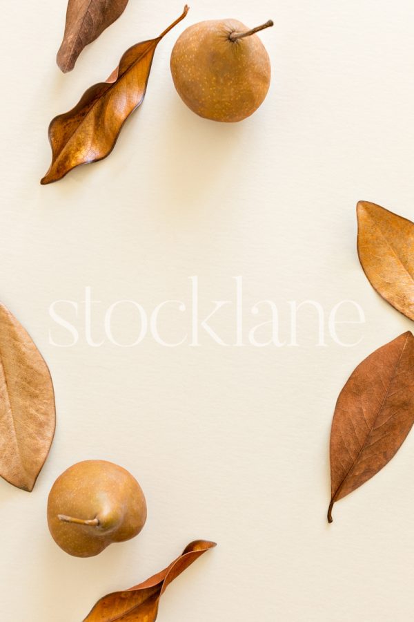 Vertical stock photo of fall leaves and pears.