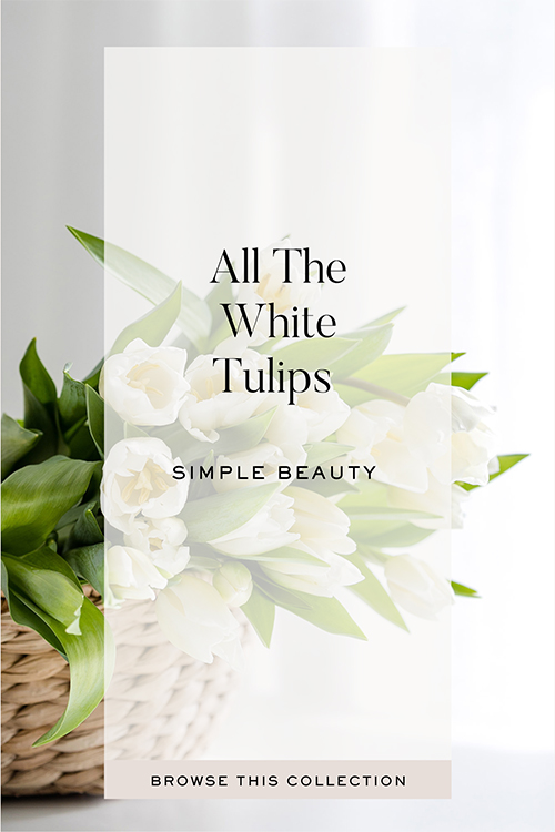 All The White Tulips