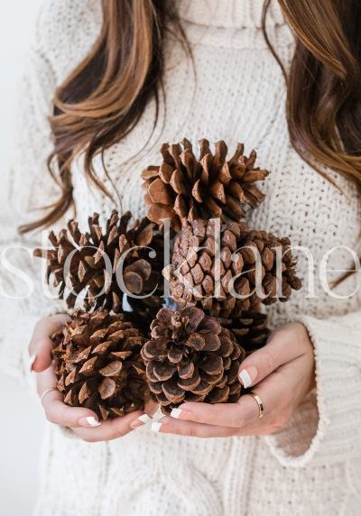 Vertical stock photo of woman holding pine cones